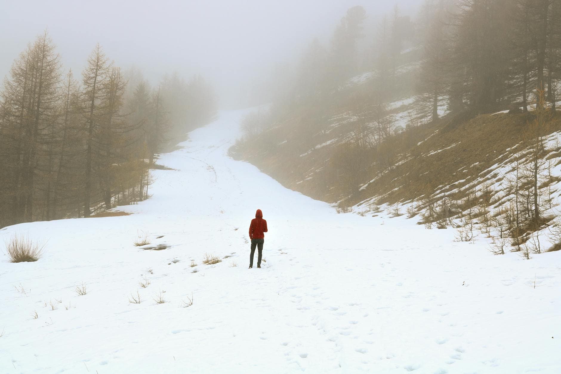 A lone person in red explores a foggy, snowy mountain path surrounded by trees. - therapy for winter loneliness