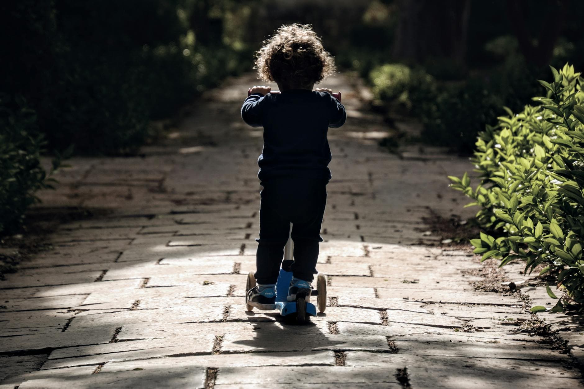 Rear view of a child riding a scooter on a sunlit garden path, immersed in nature. - independent outdoor play