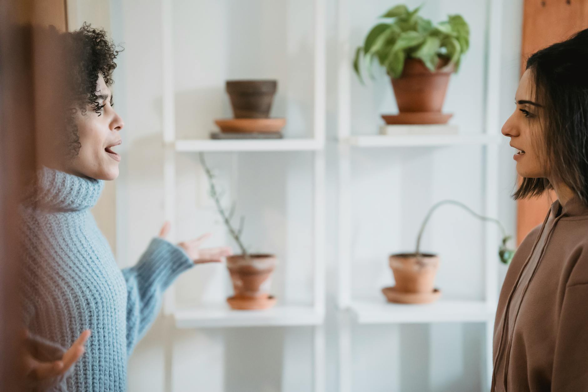 Side view of African American female yelling at woman while looking at each other during conflict in room with green plants - active listening in relationships