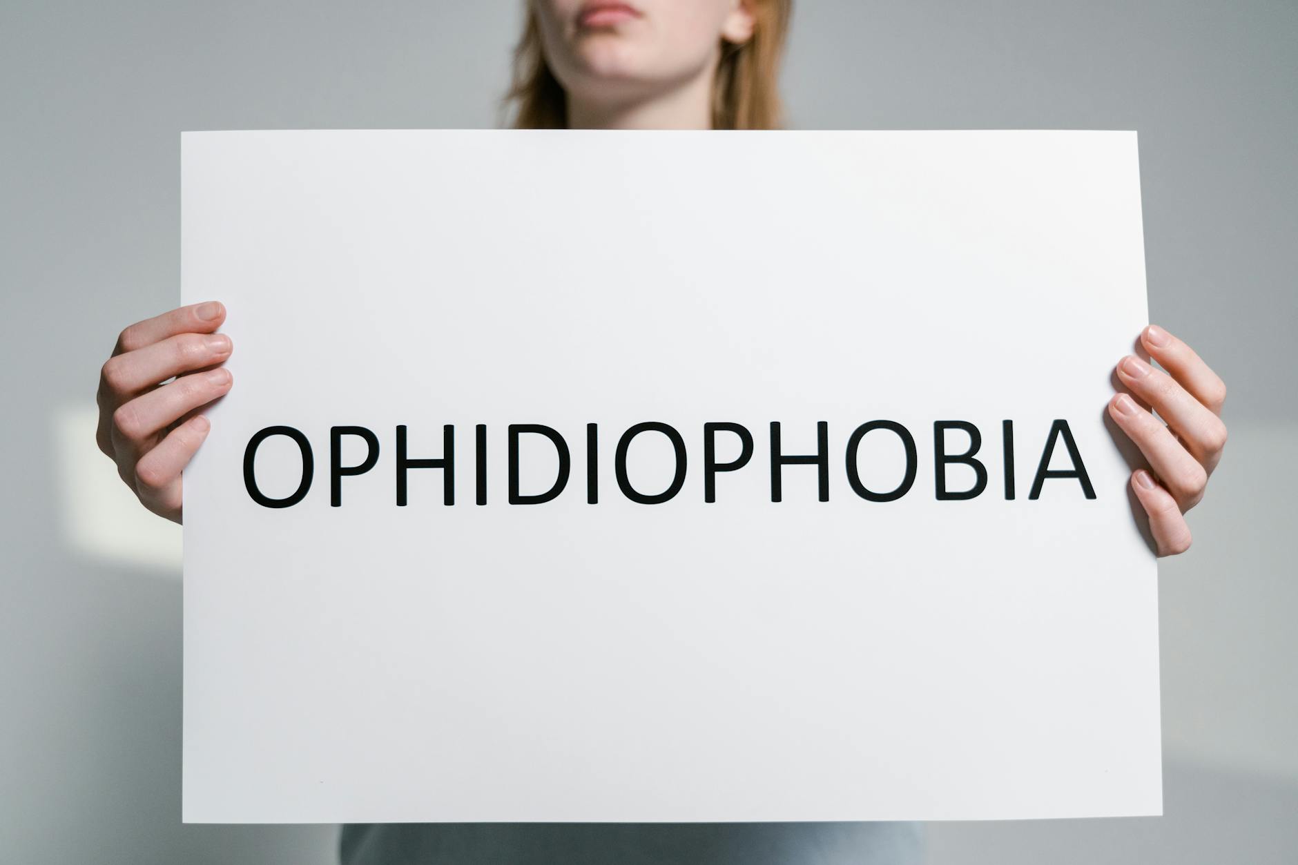 Close-up of a person holding a sign with the word 'Ophidiophobia' symbolizing fear of snakes. - what causes anxiety disorder