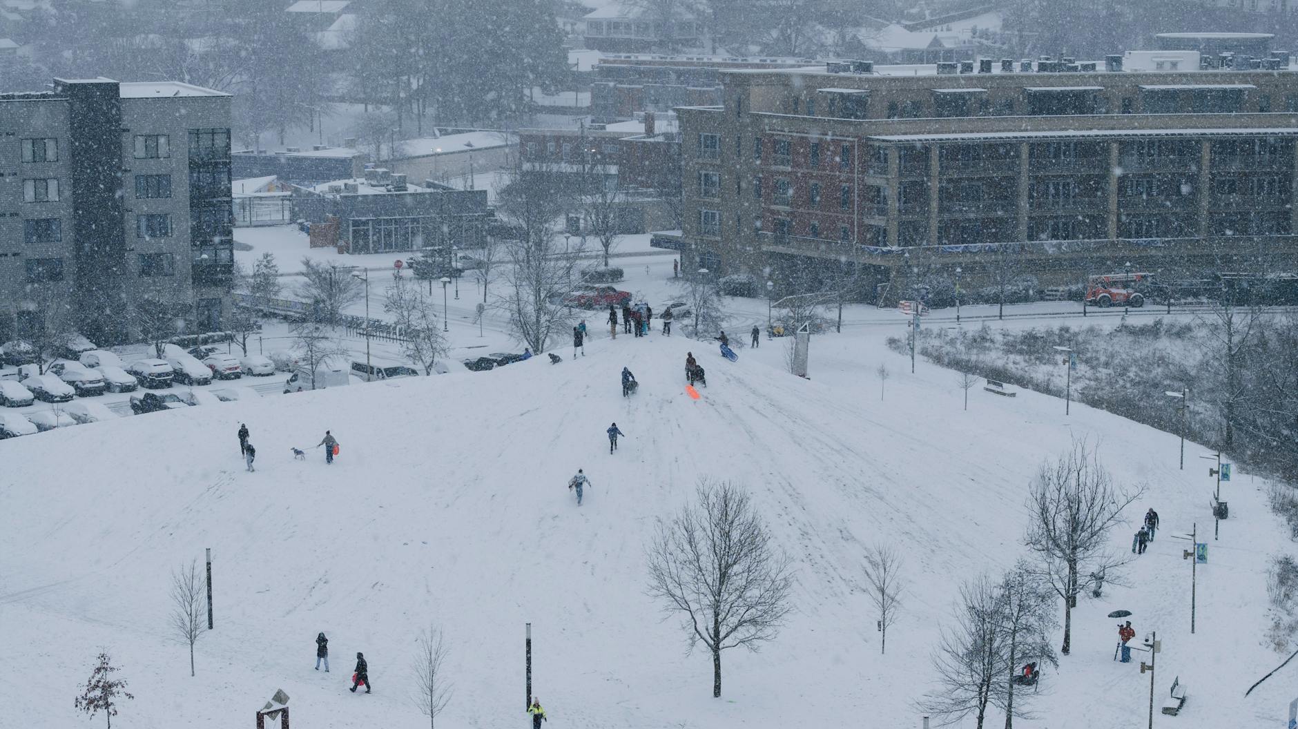 People enjoying sledding on a snow-covered hill in an urban park during snowfall. - family snow day communication