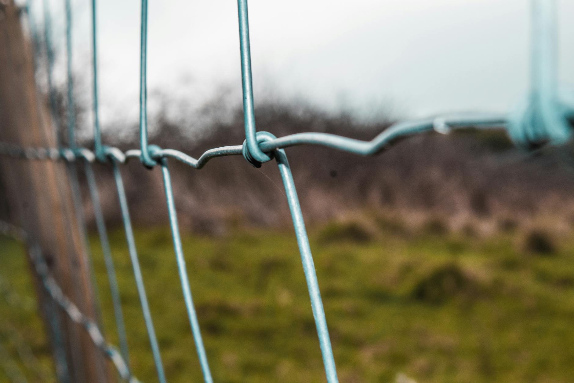 A detailed look at a weathered chain link fence in a grassy outdoor setting, emphasizing security and protection. - setting boundaries holidays