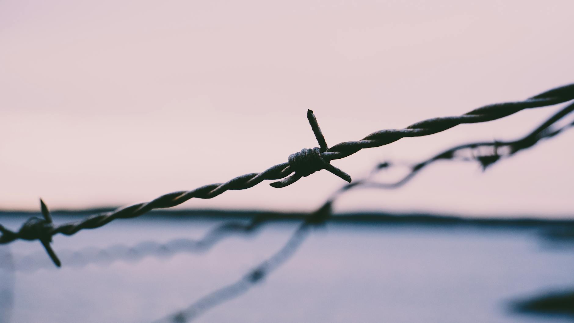 Close-up of barbed wire silhouetted against a pastel sunset sky, evoking themes of boundaries and freedom. - couple energy boundaries