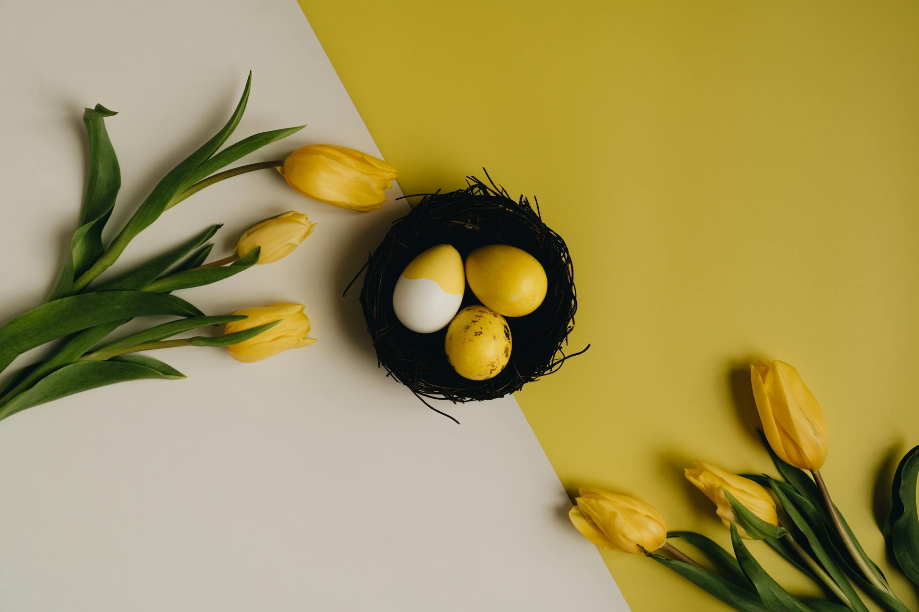 Delightful Easter scene with yellow tulips and decorated eggs in a nest against a vibrant backdrop. - empty nest symptoms