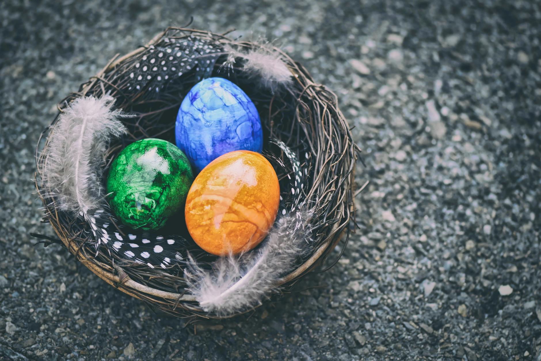 Vibrant colored eggs in a nest with feathers, perfect for Easter celebrations. - empty nest syndrome