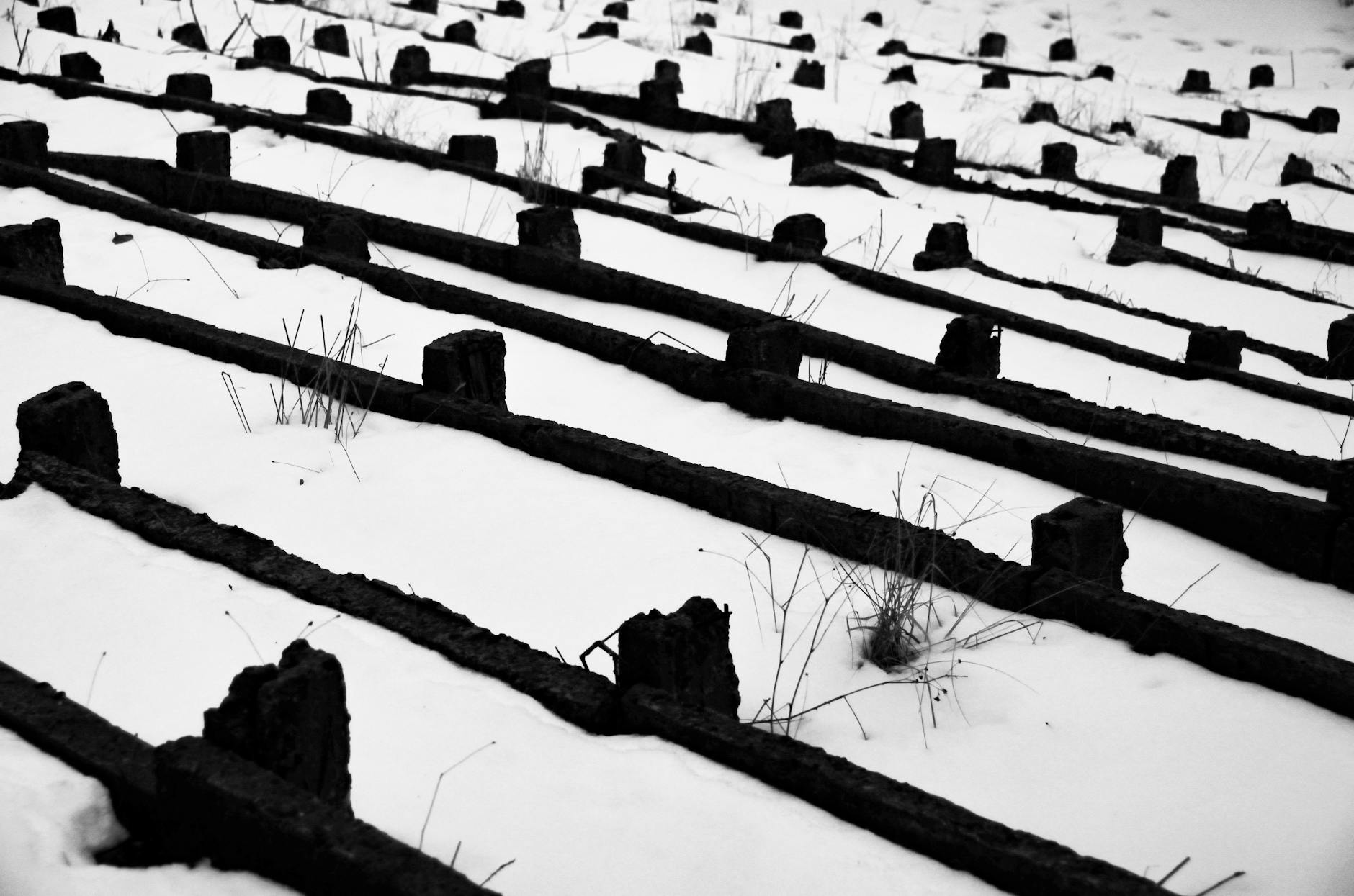 Black and white photo of snow-covered abandoned railway tracks in Lviv. - post winter loneliness