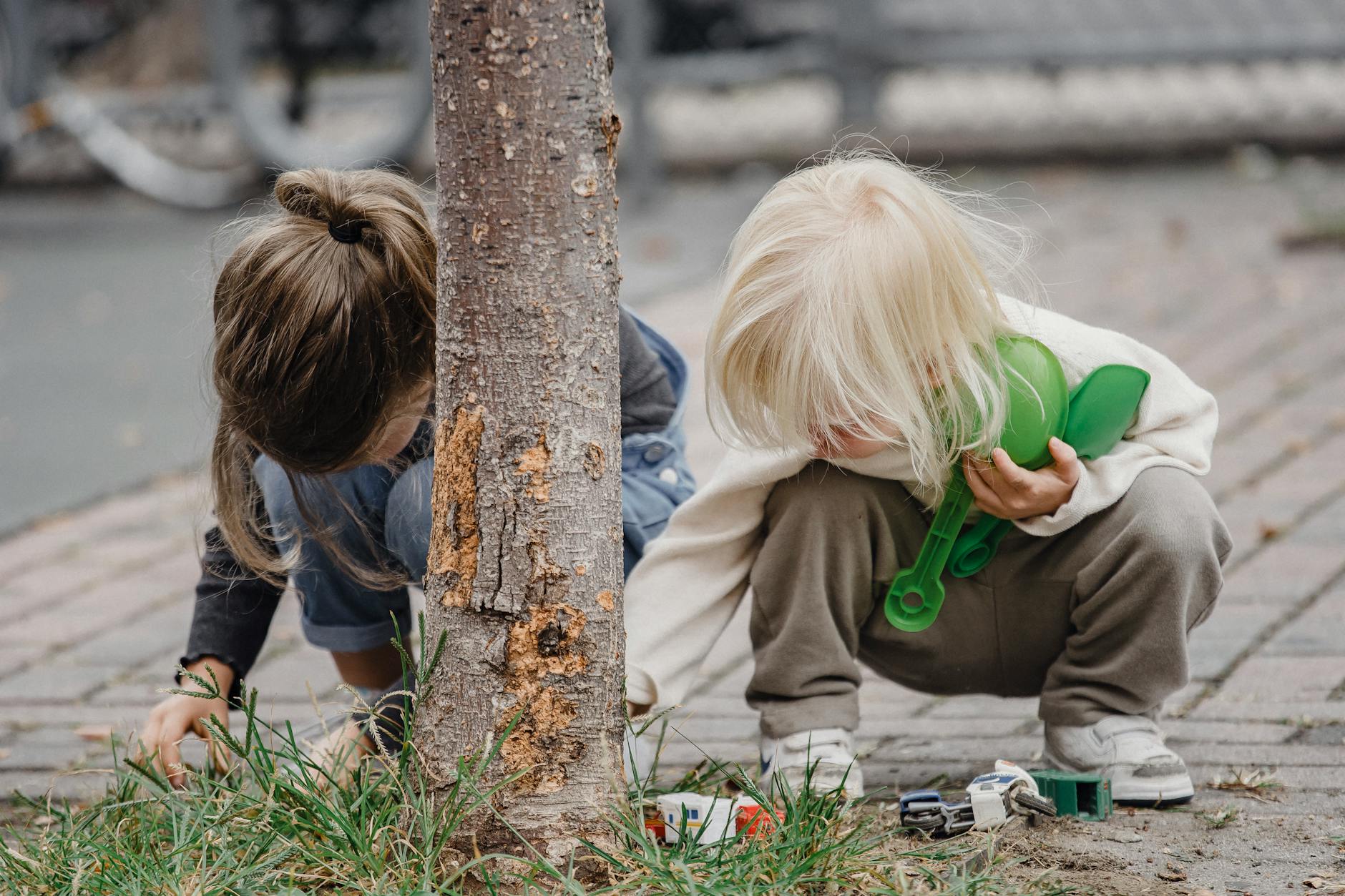 Full body of anonymous cute little girls in casual outfits playing with toys near tree - preschool nature activities