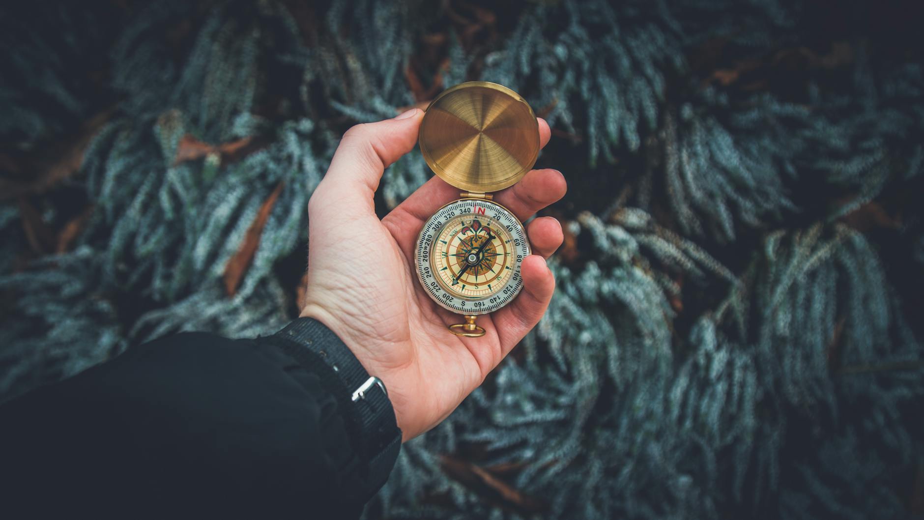 A close-up shot of a hand holding a vintage compass against a natural background. - self-compassion guide