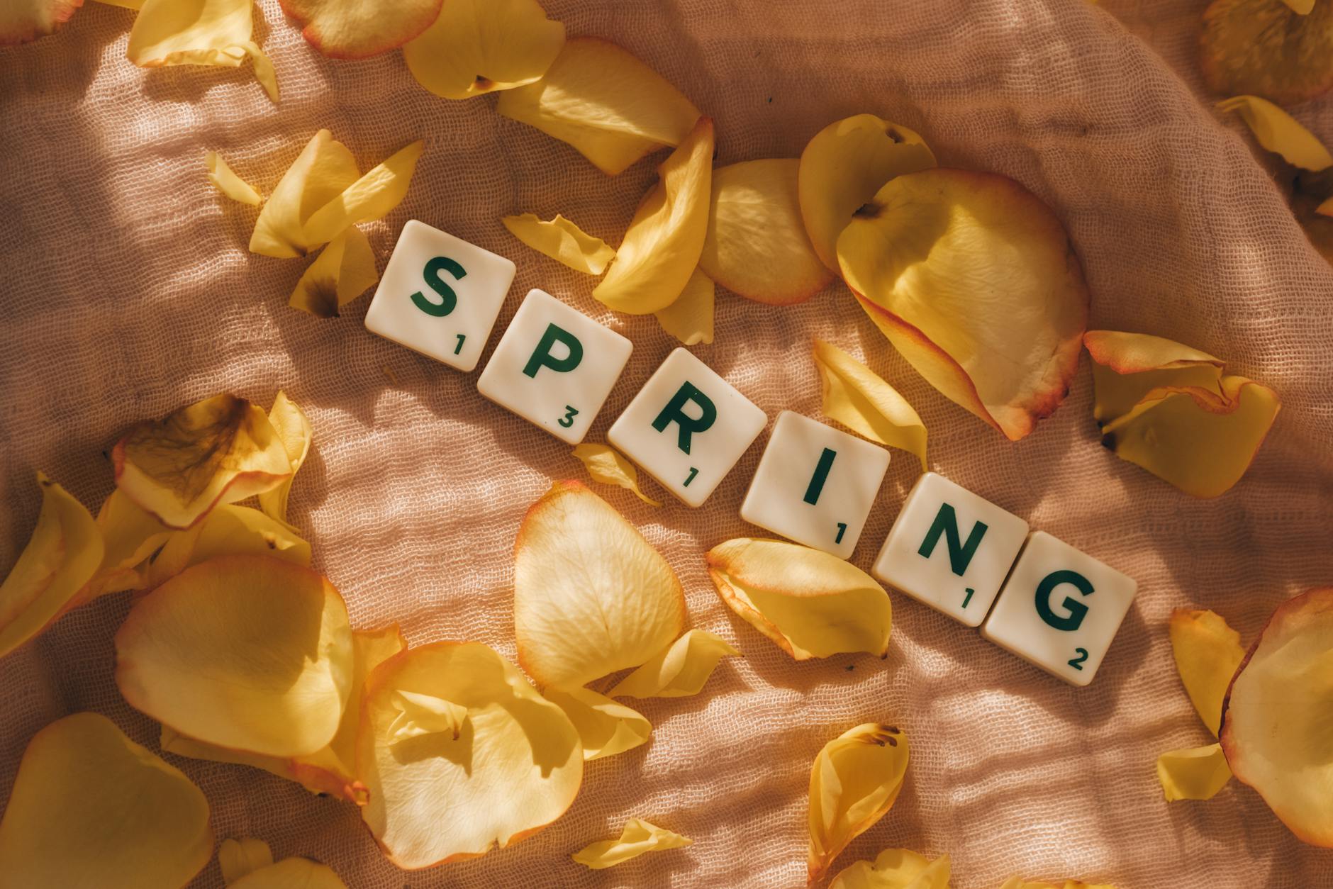 Artistic flat lay of spring letter tiles with yellow petals on soft fabric. - spring mood boost