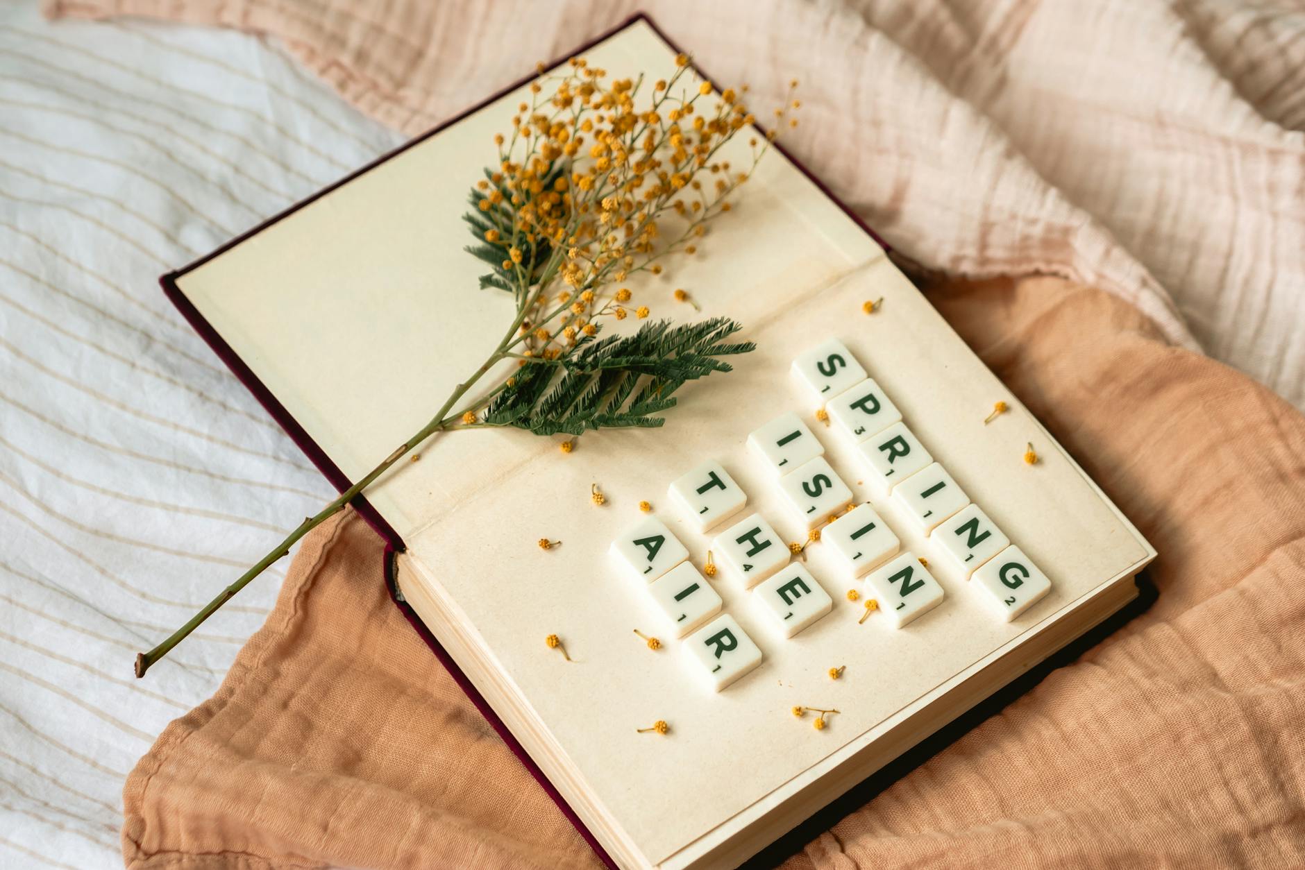 Aesthetic flat lay of blooming mimosa flowers on a book with letter tiles spelling 'Spring is in the air'. - spring therapy search