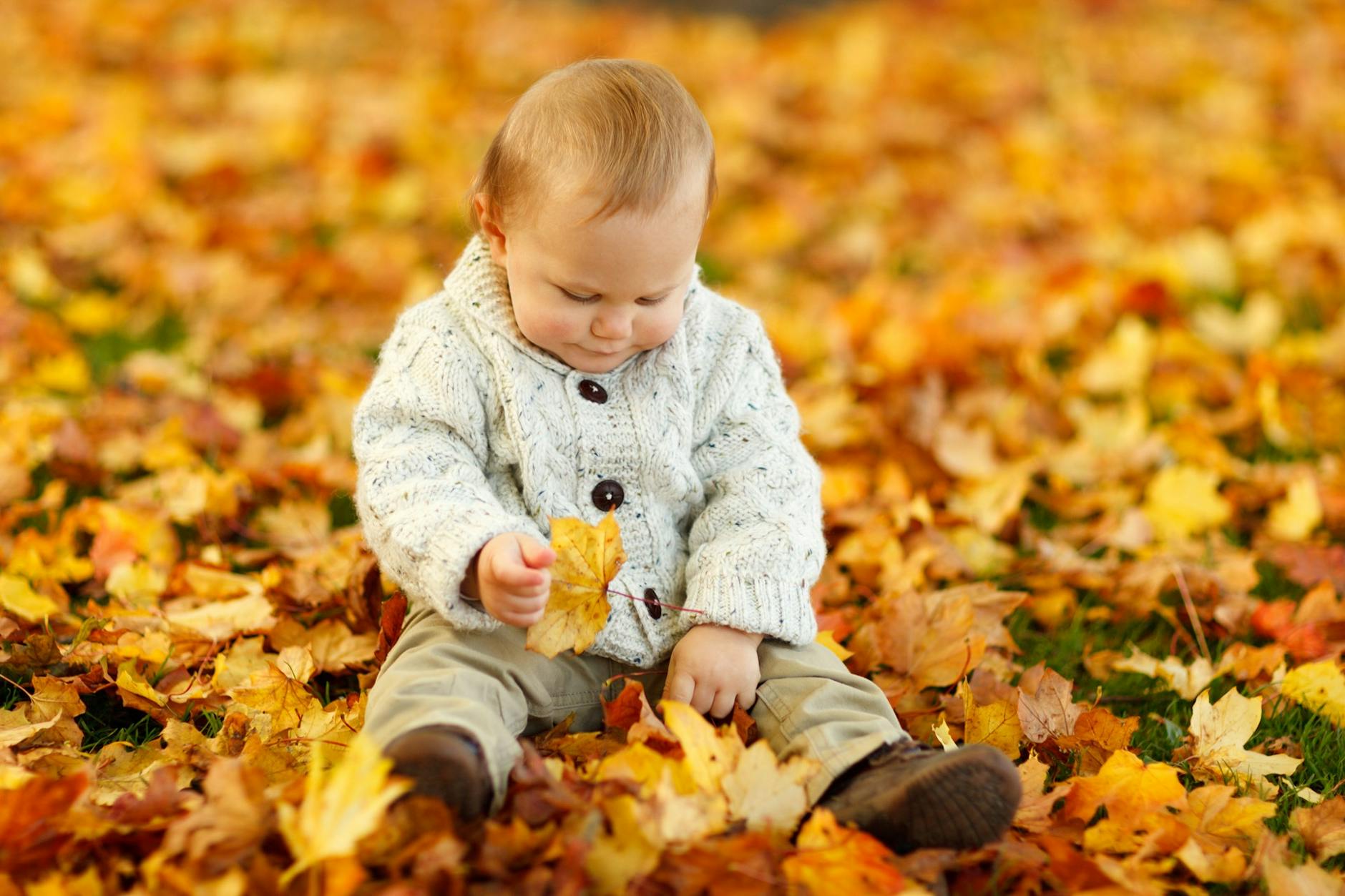 Cute baby in cozy knitwear playing among colorful autumn leaves outdoors. - toddler outdoor play