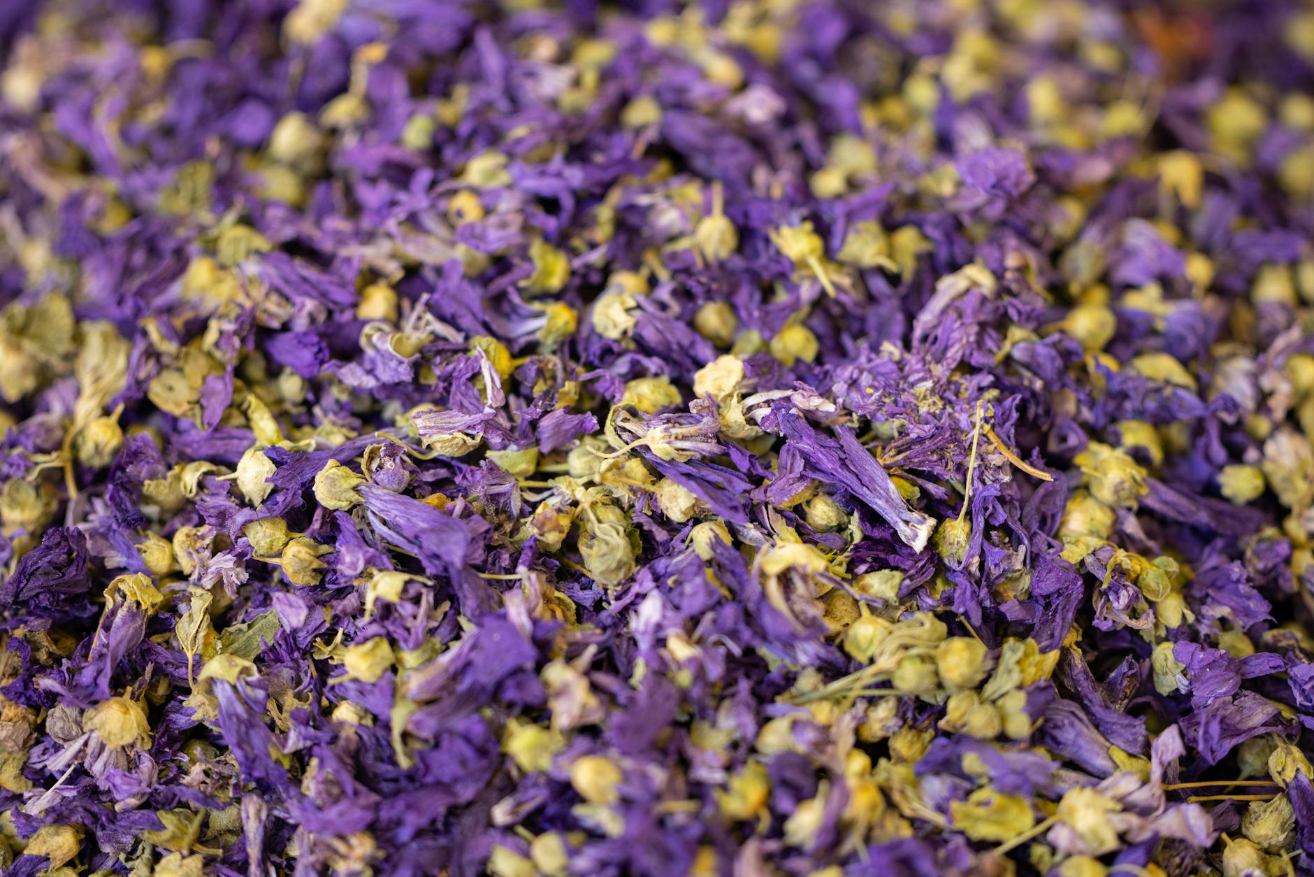 Close-up of vibrant dried mallow flowers, highlighting texture and color. - virtual therapy benefits