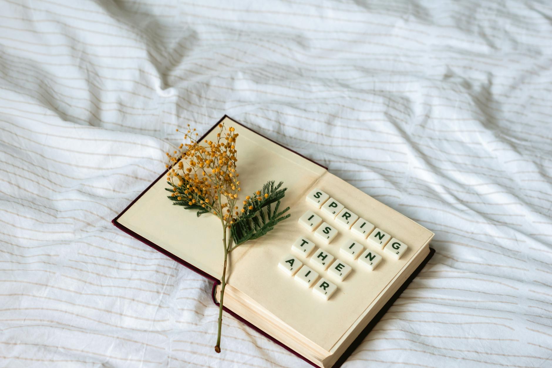 Open book with 'Spring is in the air' tiles and a yellow flower on a striped blanket. - mental decluttering spring