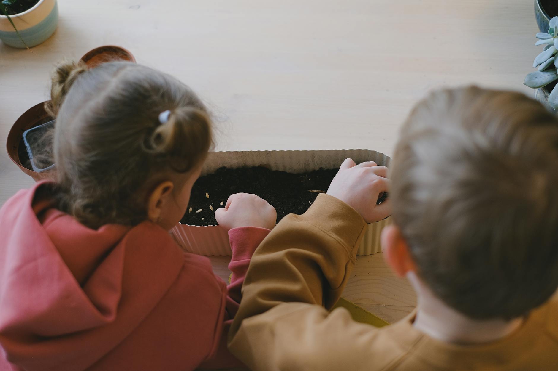 Two children carefully planting seeds in soil indoors, focusing on gardening education. - preschool garden activities