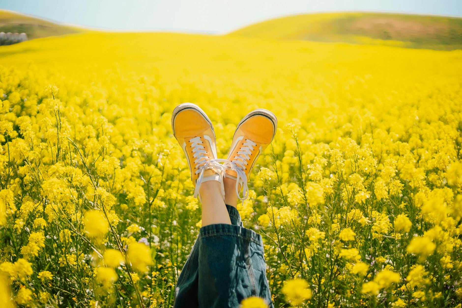 Person relaxing in a blooming yellow flower field, legs up, wearing yellow sneakers in spring. - spring anxiety tips