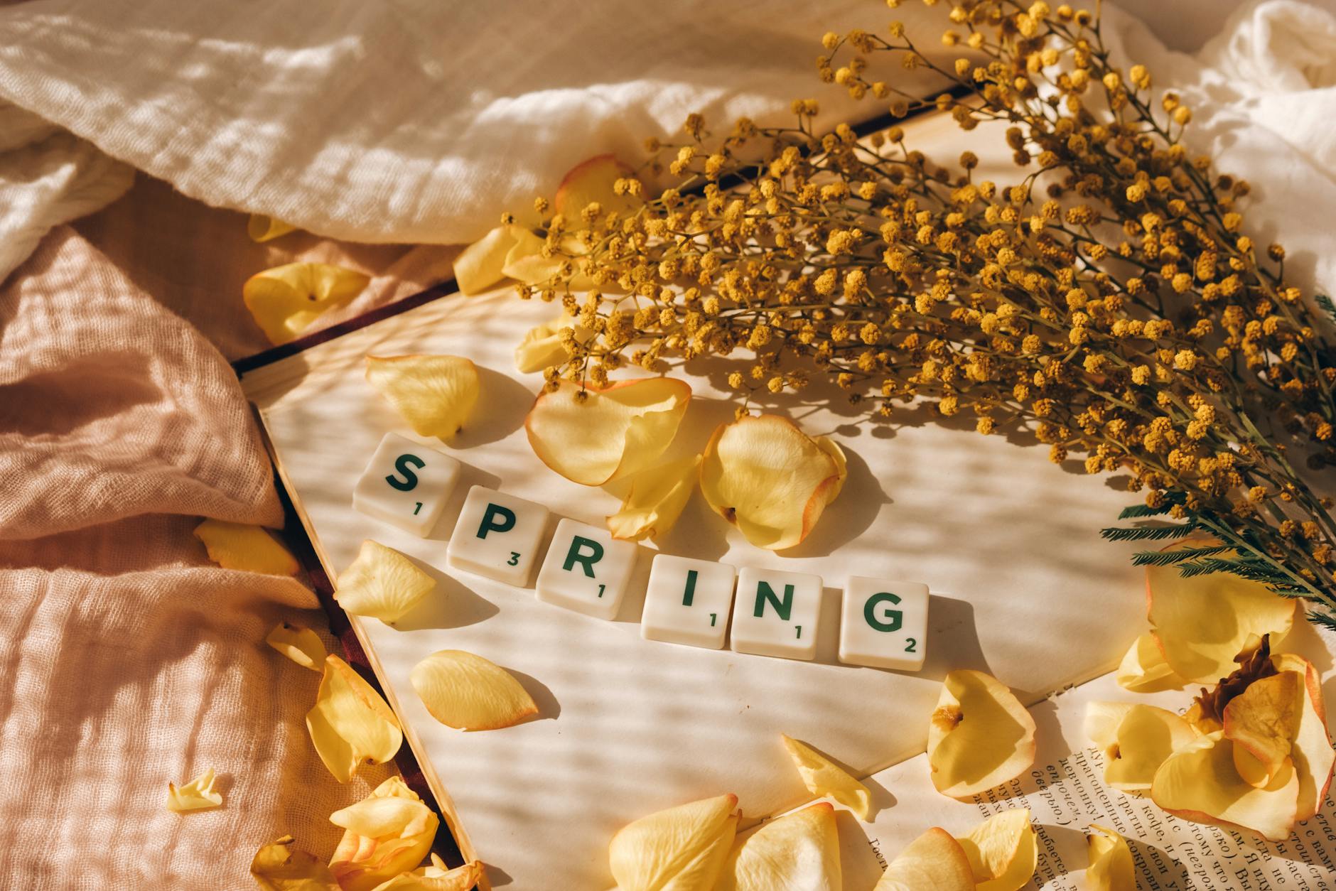 Flat lay of Scrabble tiles, yellow petals, and mimosa for a spring theme. - spring anxiety tips